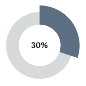 immagine che rappresenta il 30%