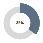Grafico Torta 35%