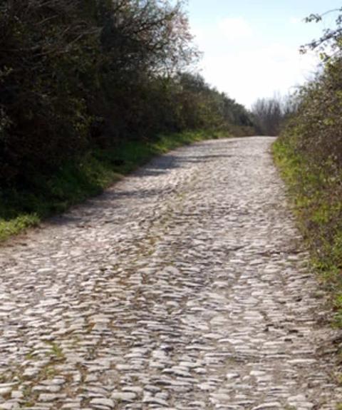 Antica strada Parco dell'Inviolata